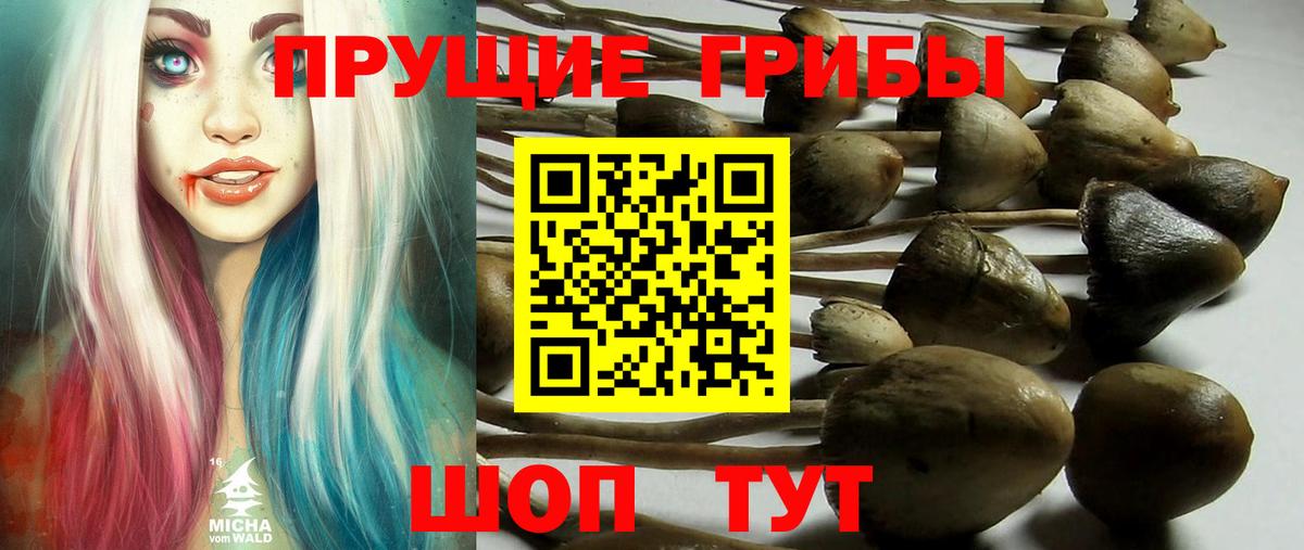 COCAIN  Канабис  Мефедрон кристаллы  Великий Новгород  Гашиш  Вход с VPN 